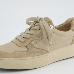 Pauls 5480-008