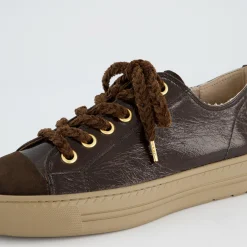 Pauls 4977-278