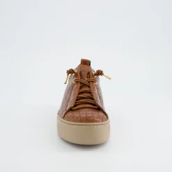 Pauls 5317-068