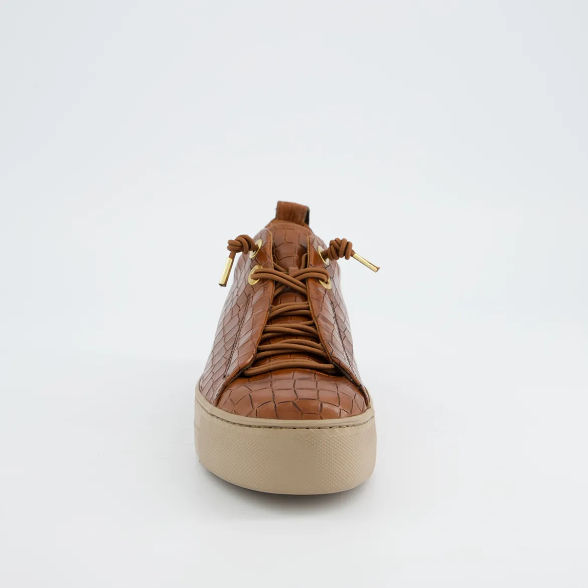 Pauls 5317-068