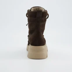 Schnürbootie 8237-028