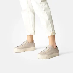 SUPER SOFT Pauls 4790-584